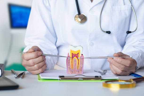 Best After-Hours Dental Trauma Care in St Charles, MN